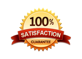 100satisfaction 2 Social Media Optimization Service and Social Media Marketing Services