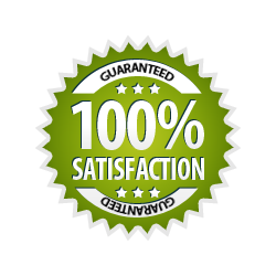 Website Copywriting Packages 100satisfaction green Website Copywriting Packages