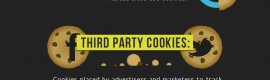 Online Privacy Online Privacy Infographic
