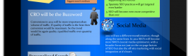 SEO Trends 2012-2013 Infographics