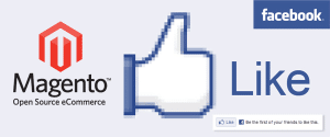 Facebook ecommerce 2