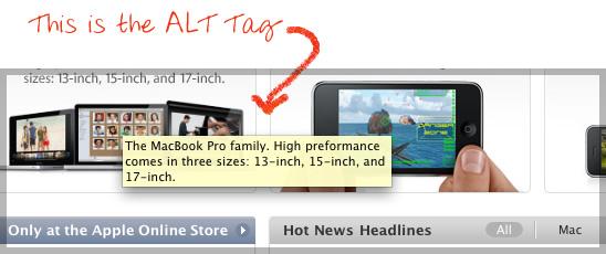 What is Image Alt Tag in SEO 2 - image 1