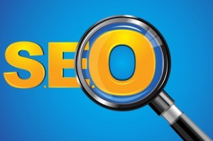 Search Engine Optimization SEO Services