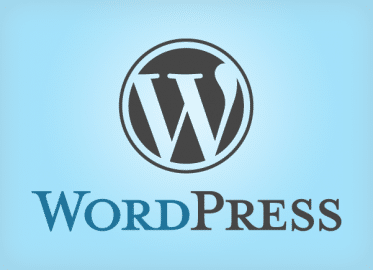 Effective Use of WordPress While Blogging