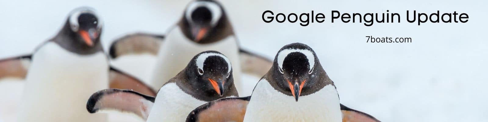 Google Penguin Update Tips