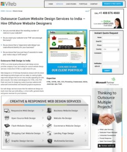 Features that Make Your B2B Website Stand Out from the Crowd 1 - viteb1 VITEB