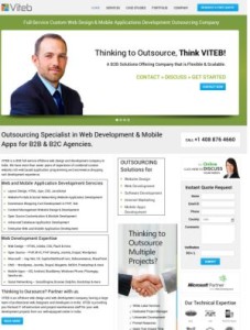 Features that Make Your B2B Website Stand Out from the Crowd 2 - viteb2 viteb2