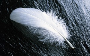 white feather - lightweight websites