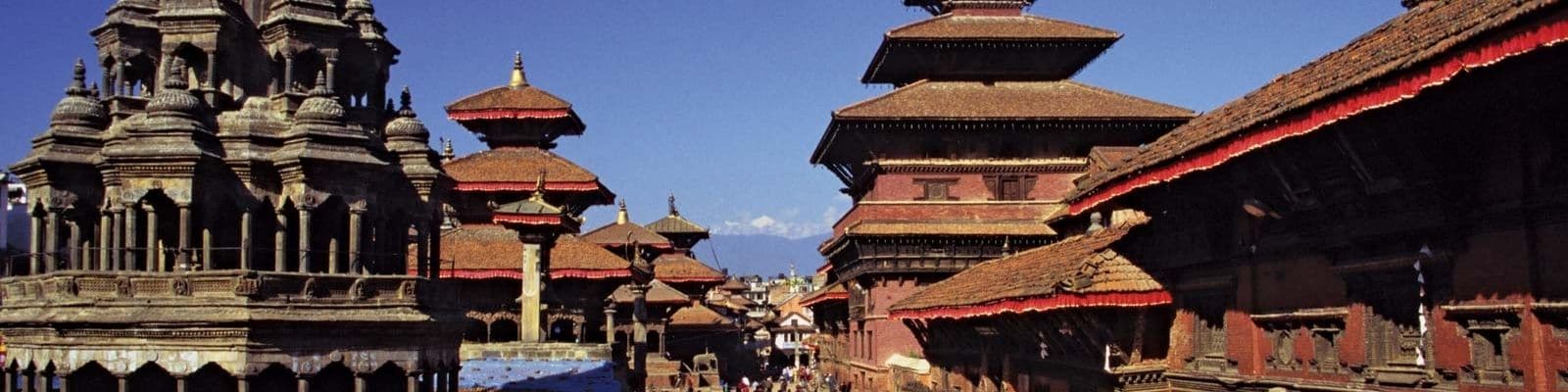 digital marketing courses in lalitpur